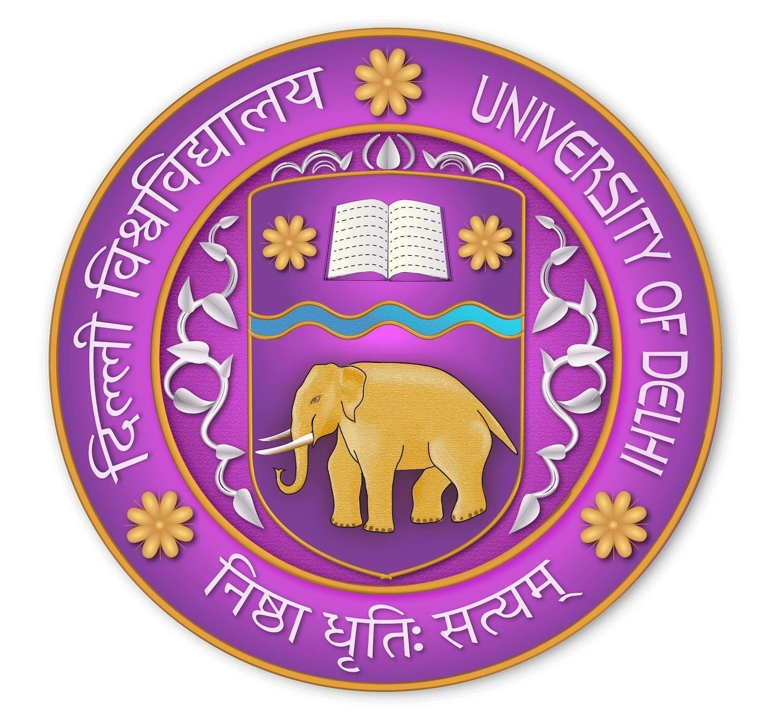 Delhi University (DU University)