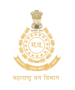 Maha Forest Recruitment 2024 New & Exclusive Notification